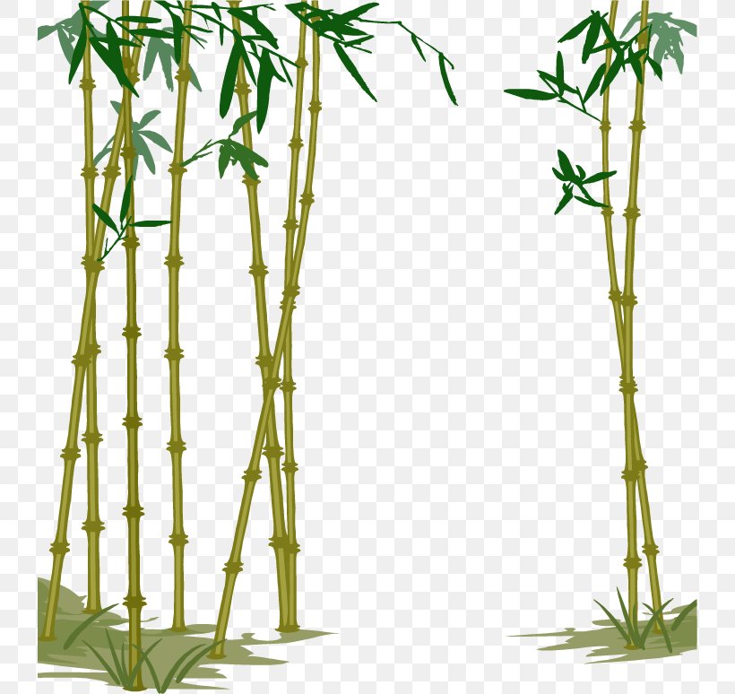 Bamboe Bamboo Computer File, PNG, 736x774px, Bamboe, Bamboo, Branch, Flora, Floral Design Download Free