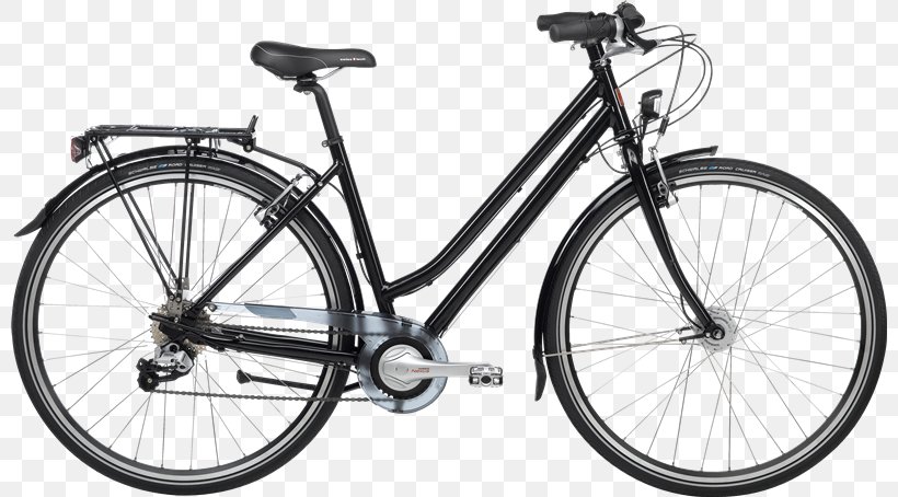 Bicycle Shop Cycling Electric Bicycle Cruiser Bicycle, PNG, 800x454px, Bicycle, Automotive Exterior, Bicycle Accessory, Bicycle Drivetrain Part, Bicycle Fork Download Free