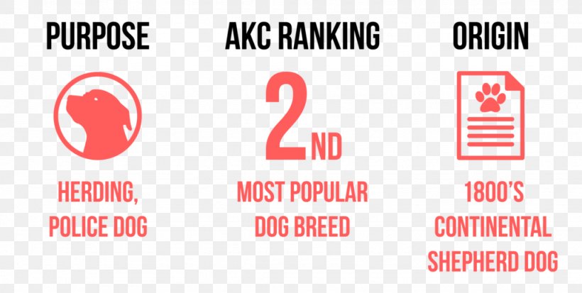 Rottweiler American Pit Bull Terrier Tibetan Mastiff Pug, PNG, 1024x516px, Rottweiler, American Kennel Club, American Pit Bull Terrier, Area, Beagle Download Free