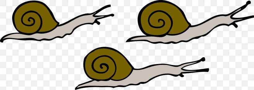 Snail Clip Art, PNG, 2400x852px, Snail, Artwork, Beak, Cartoon, Drawing Download Free