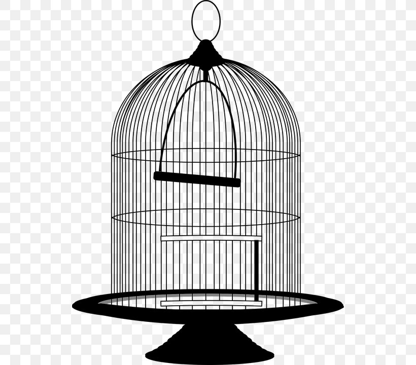 Birdcage Clip Art, PNG, 536x720px, Birdcage, Bird, Black And White, Cage, Monochrome Photography Download Free