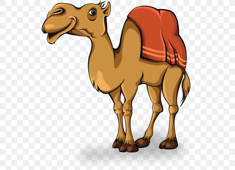 Camel Animation Clip Art, PNG, 600x594px, Camel, Animation, Arabian Camel, Beak, Camel Like Mammal Download Free