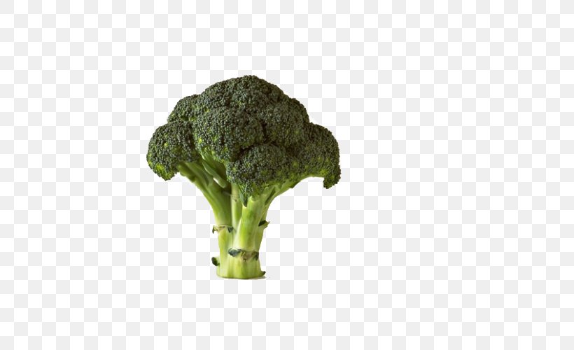 Chinese Broccoli Cauliflower Vegetable Potato, PNG, 600x500px, Broccoli, Brassica, Brassica Oleracea, Cabbage Family, Cauliflower Download Free