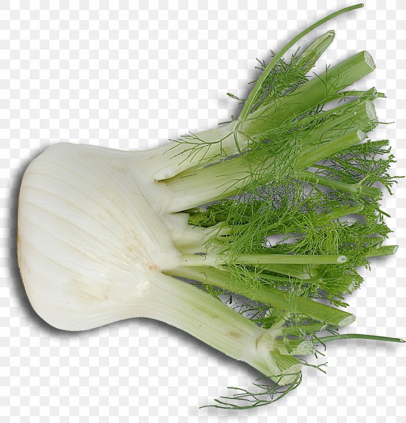 Fennel Ingredient Vegetable Italian Cuisine Sausage, PNG, 1094x1140px, Fennel, Garlic, Garnish, Herb, Ingredient Download Free