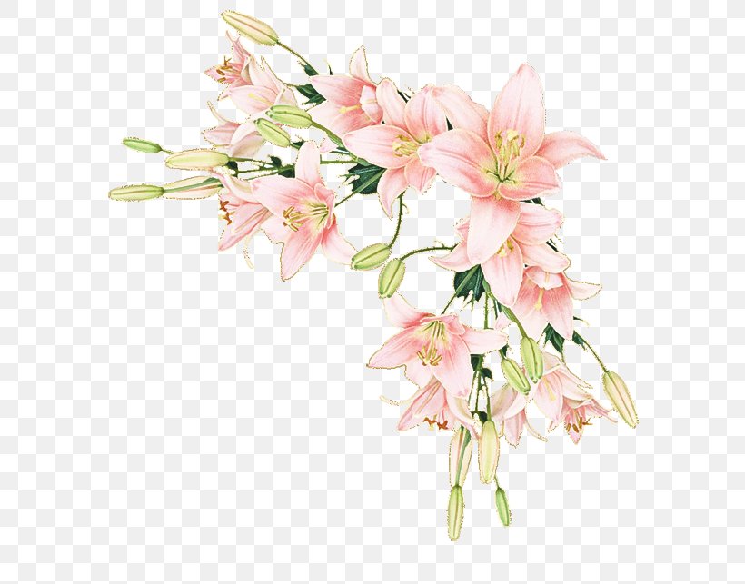 Flower Flowering Plant Plant Pink Cut Flowers, PNG, 600x643px, Flower, Blossom, Bouquet, Cut Flowers, Flowering Plant Download Free