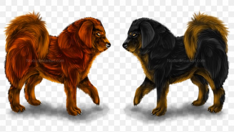 Tibetan Mastiff English Mastiff Dog Breed Canidae Puppy, PNG, 898x506px, Tibetan Mastiff, Animal, Art, Breed, Canidae Download Free