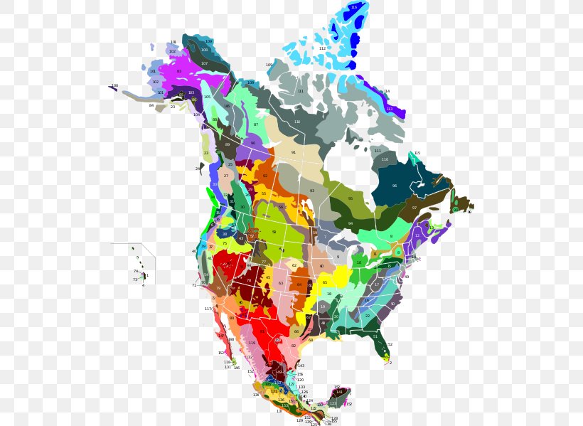United States Of America Canada Ecoregion Taiga Puerto Rican Moist Forests, PNG, 515x599px, United States Of America, Americas, Art, Biome, Canada Download Free