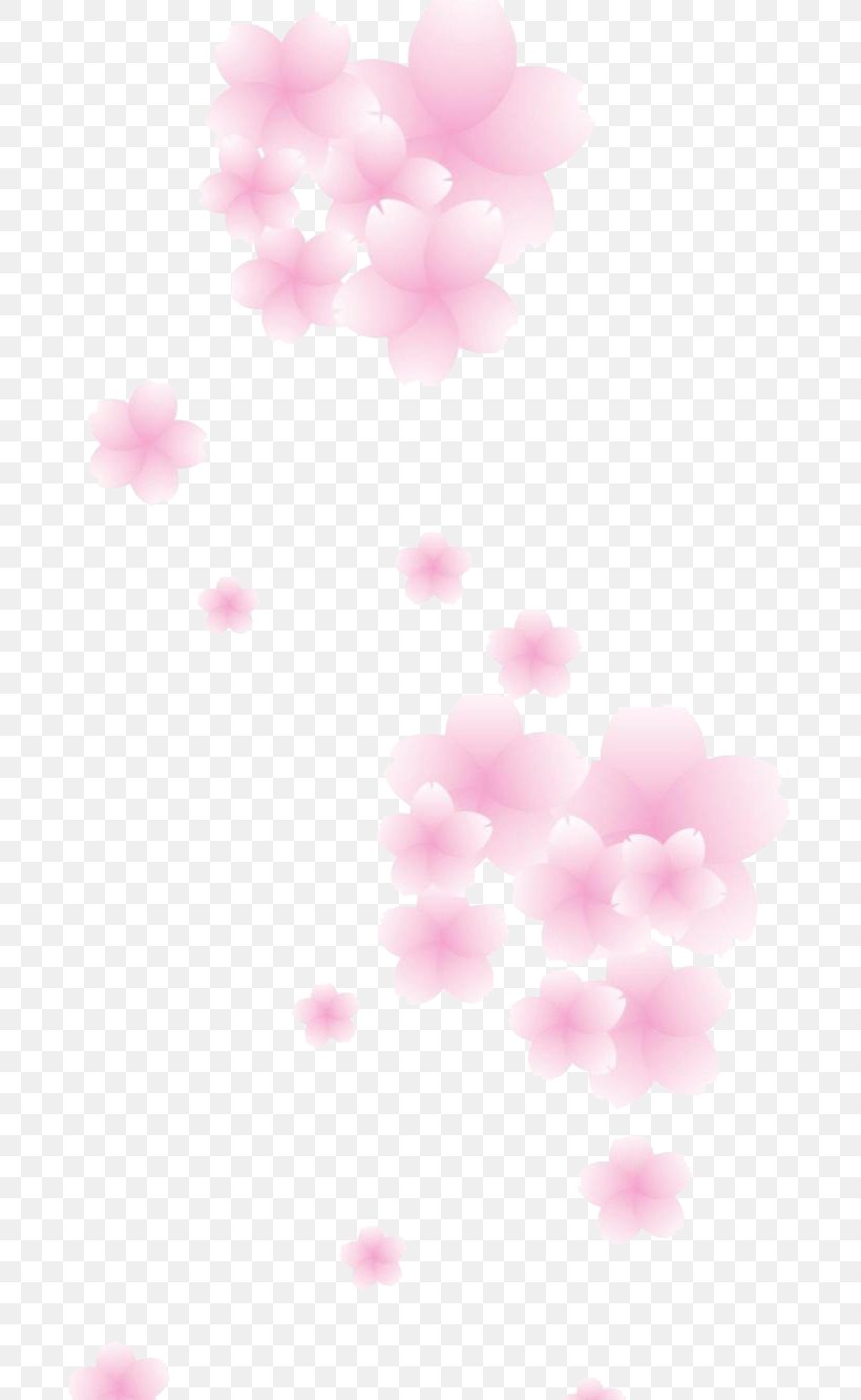 Cherry Blossom Pink Petal, PNG, 700x1332px, Cherry Blossom, Blossom, Cerasus, Cherry, Gratis Download Free