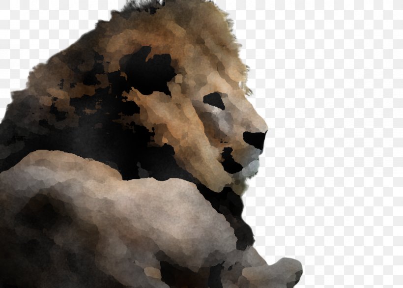 Lion Wildlife Snout Animal Figure, PNG, 1182x846px, Lion, Animal Figure, Snout, Wildlife Download Free