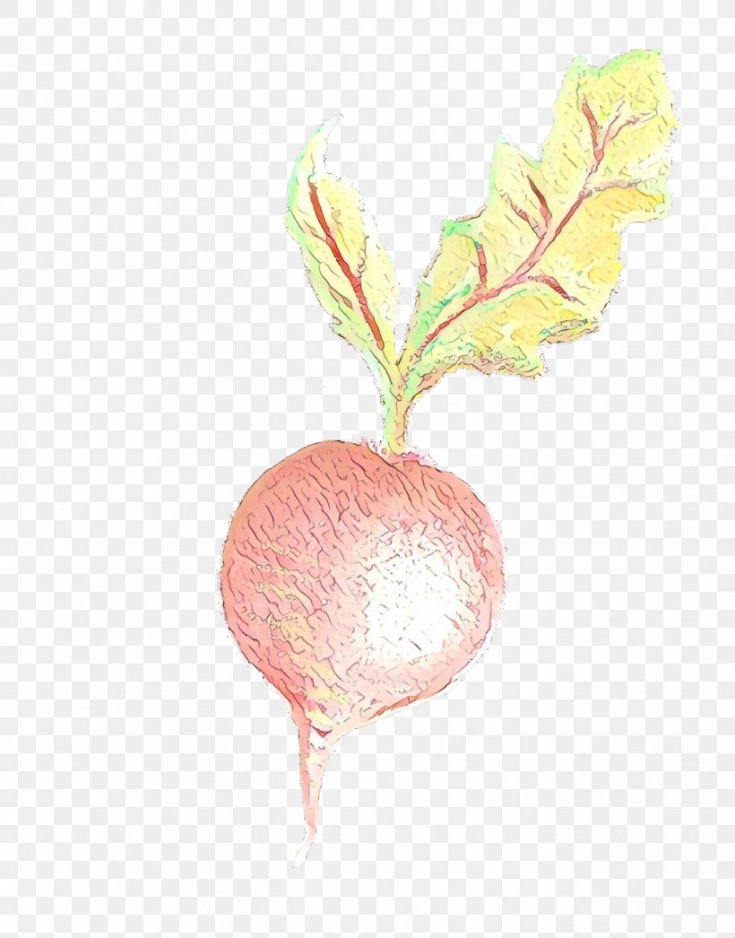 Twig Background, PNG, 1354x1728px, Radish, Beet, Beetroot, Branch, Flower Download Free
