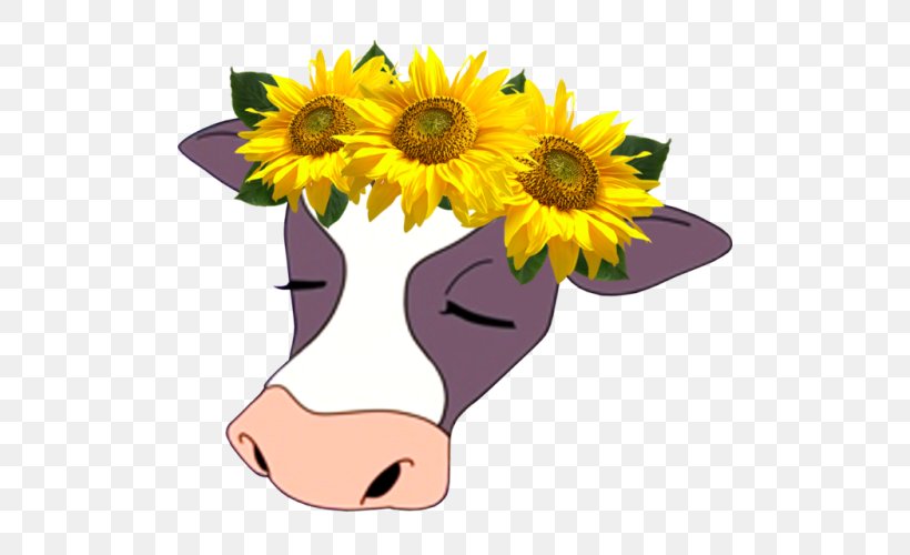 Cattle Tumblr Clip Art, PNG, 500x500px, Cattle, Cut Flowers, Daisy Family, Floral Design, Floristry Download Free
