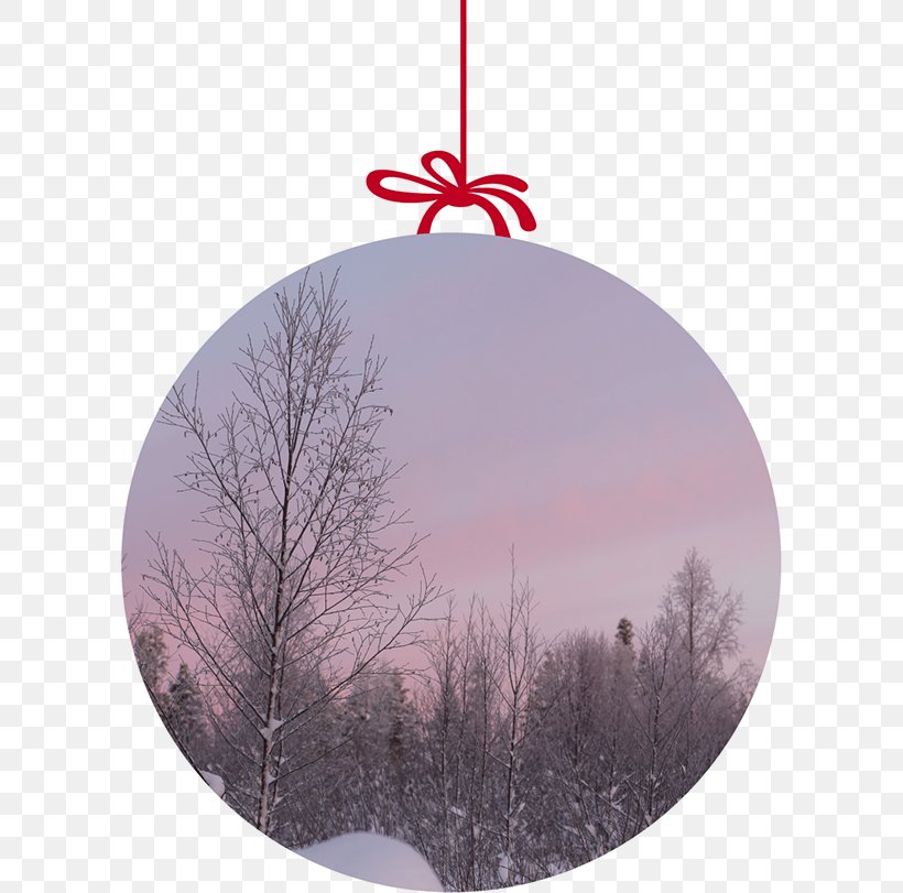 Christmas Tree Christmas Ornament Sky Plc, PNG, 600x811px, Christmas Tree, Branch, Christmas, Christmas Decoration, Christmas Ornament Download Free