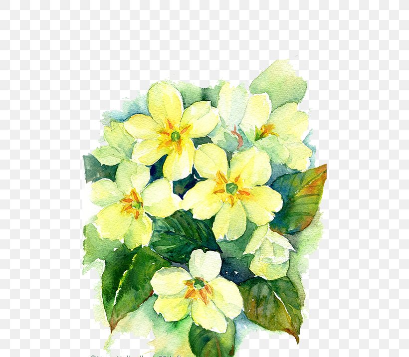 Floral Design Watercolor Painting Watercolor: Flowers Drawing, PNG, 490x716px, Floral Design, Art, Botanical Illustration, Drawing, Floristry Download Free