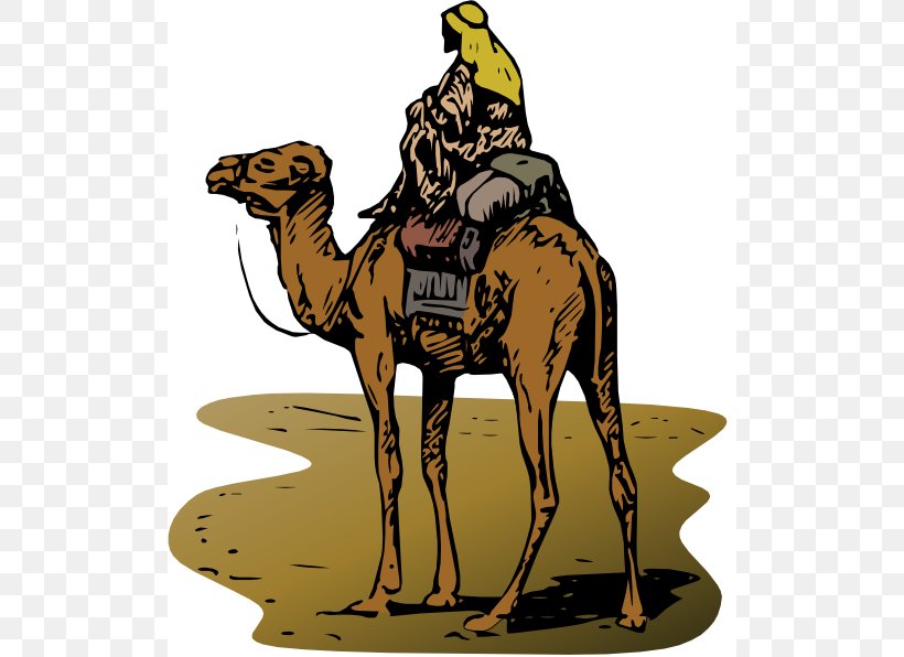 Silk Road Online Marketplace Bitcoin Illegal Drug Trade, PNG, 516x596px, Silk Road, Arabian Camel, Bitcoin, Business, Camel Download Free