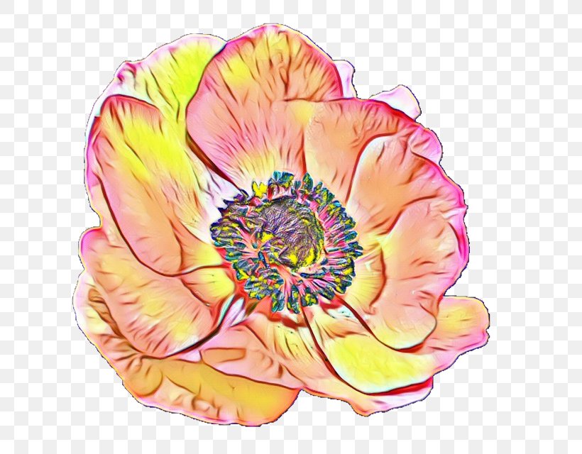 Watercolor Pink Flowers, PNG, 640x640px, Watercolor, Cut Flowers, Floral Design, Flower, Paint Download Free