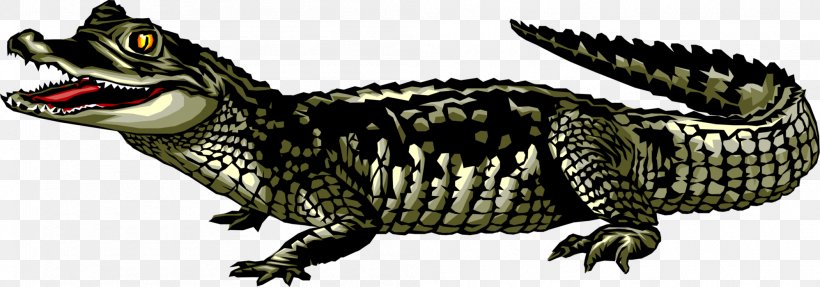Alligator Cartoon, PNG, 1997x700px, Crocodile, Alligators, American Alligator, American Crocodile, Animal Download Free