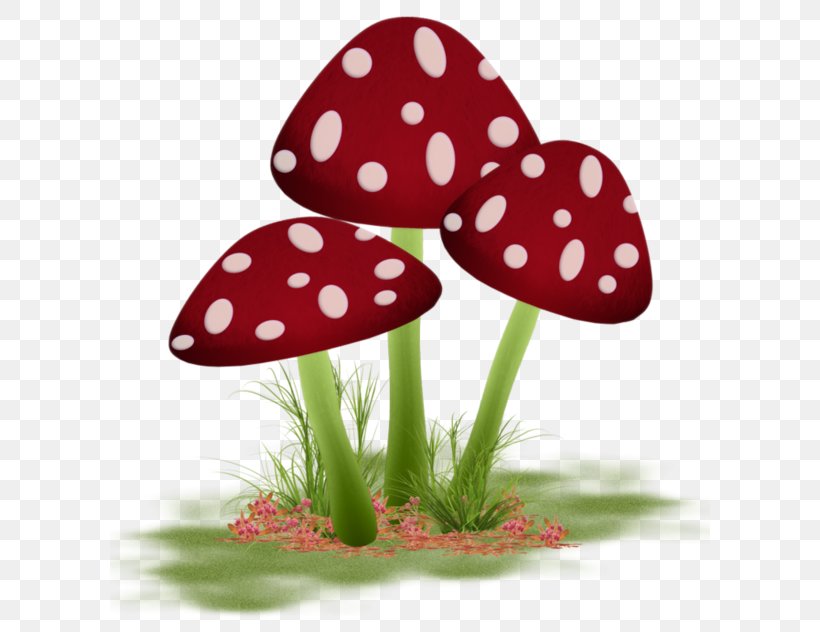 Mushroom Paper Watercolor Painting Fungus, PNG, 600x632px, Mushroom, Blog, Flora, Flower, Fungus Download Free