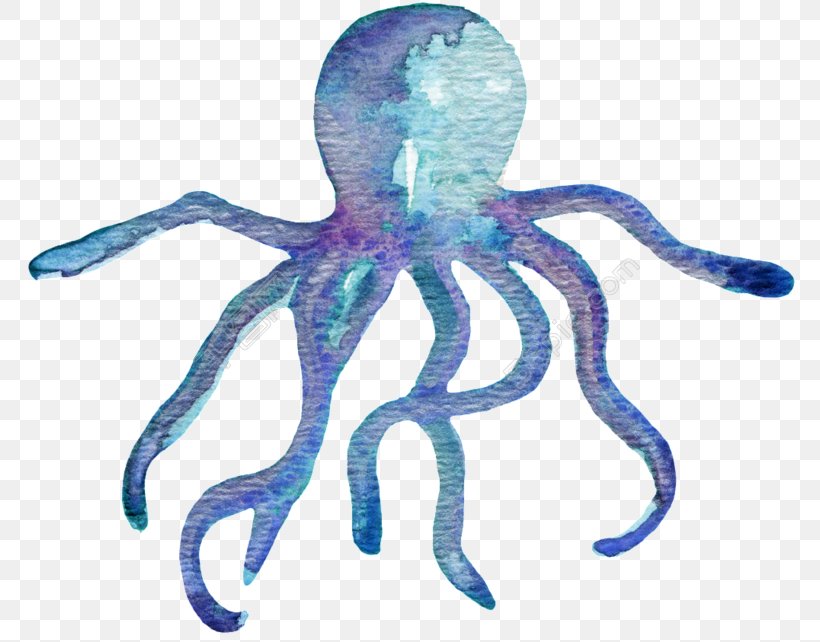 Octopus Watercolor Painting Cartoon Image, PNG, 780x642px, Octopus, Animal, Animal Figure, Cartoon, Cephalopod Download Free