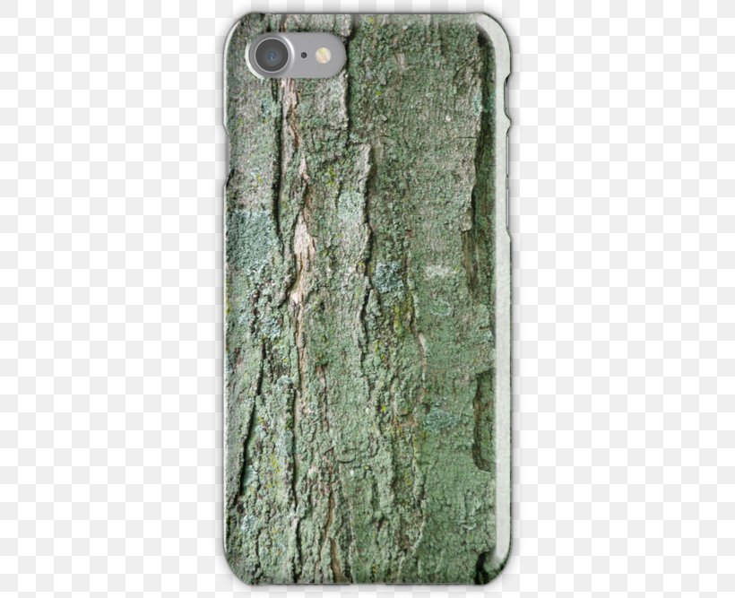 Sugar Maple Trunk Acer Nigrum Bark Norway Maple, PNG, 500x667px, Sugar Maple, Acer Nigrum, Bark, Camouflage, Grass Download Free