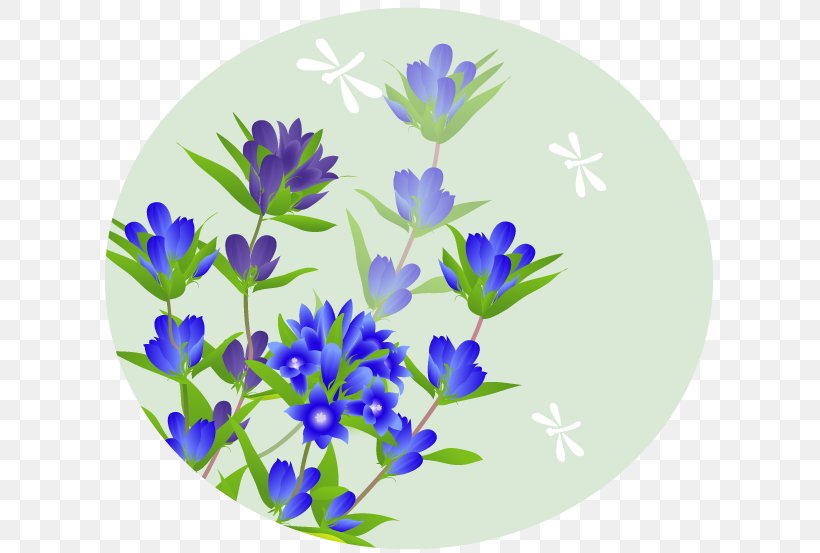 Autumn Higan Gentiana Scabra 四季 Tsukimi, PNG, 617x553px, Autumn, Blue, Bon Festival, Flower, Flowering Plant Download Free