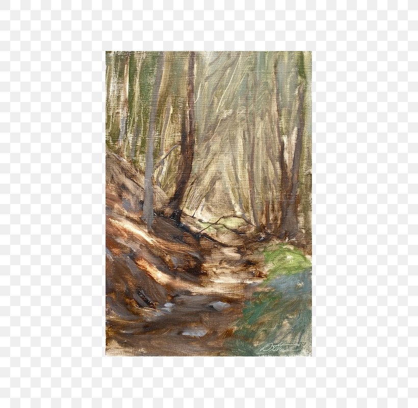 Bayou Woodland Painting Ecosystem, PNG, 800x800px, Bayou, Ecosystem, Forest, Grass, Painting Download Free