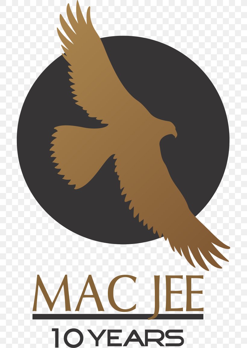 Eagle Logo Clip Art Font Brand, PNG, 710x1154px, Eagle, Accipitridae, Accipitriformes, Beak, Bird Download Free