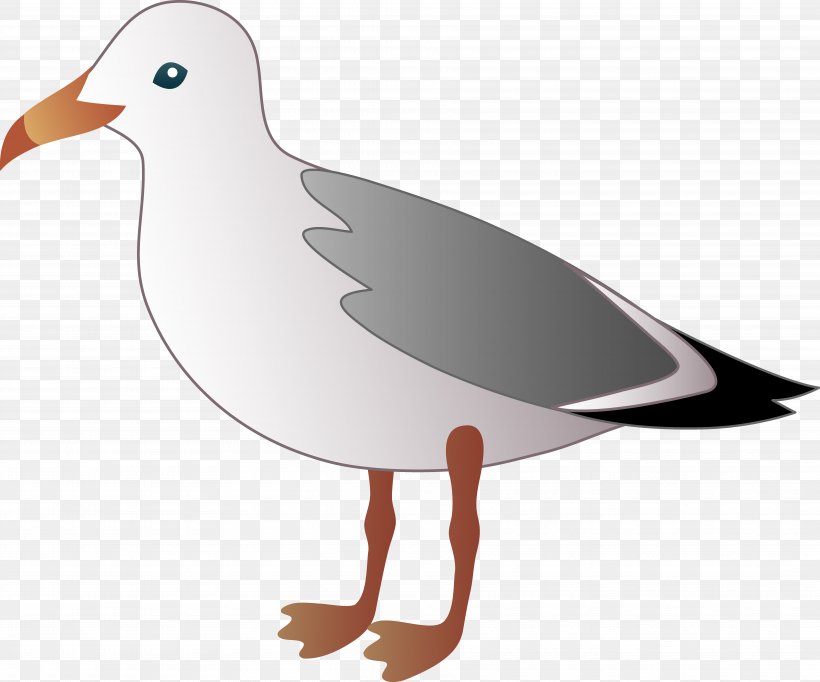 Gulls Bird Clip Art, PNG, 7458x6204px, Gulls, Beak, Bird, Cartoon, Drawing Download Free