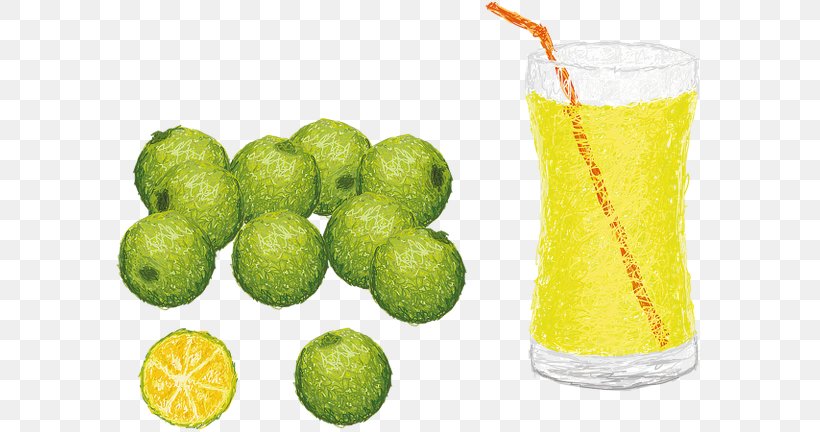 Lemon-lime Drink Juice Lemon-lime Drink Calamondin, PNG, 600x432px, Lime, Caipirinha, Calamondin, Citric Acid, Citrus Download Free