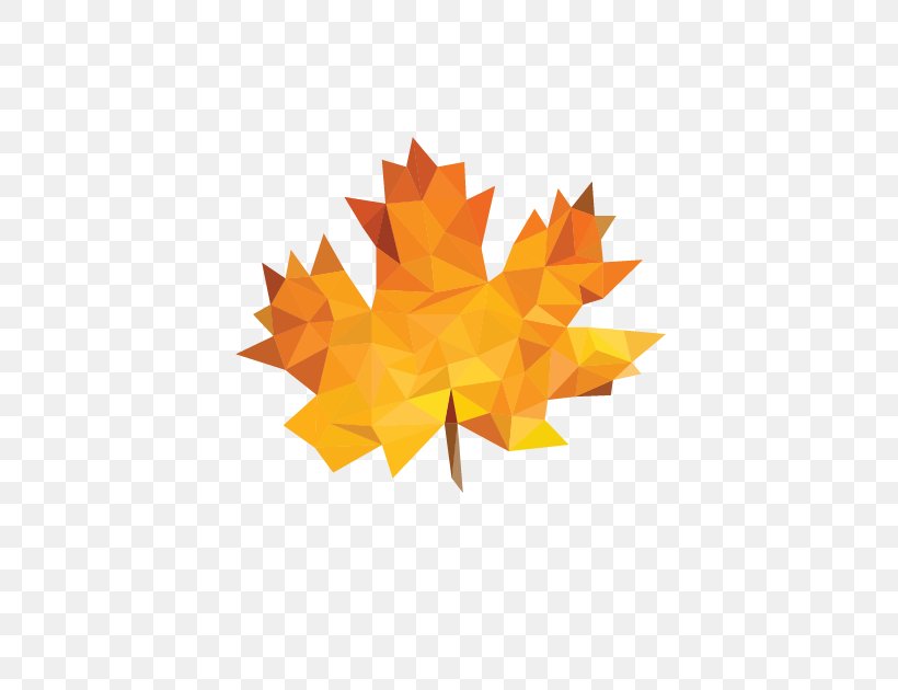 Maple Leaf Clip Art Image, PNG, 630x630px, Maple Leaf, Creativity, Leaf, Maple, Netwerk Download Free