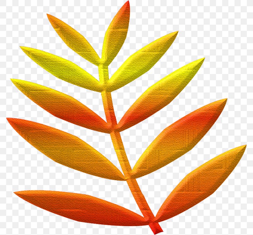 Orange S.A. Nissan Leaf, PNG, 781x762px, Orange Sa, Leaf, Nissan Leaf, Orange, Plant Download Free