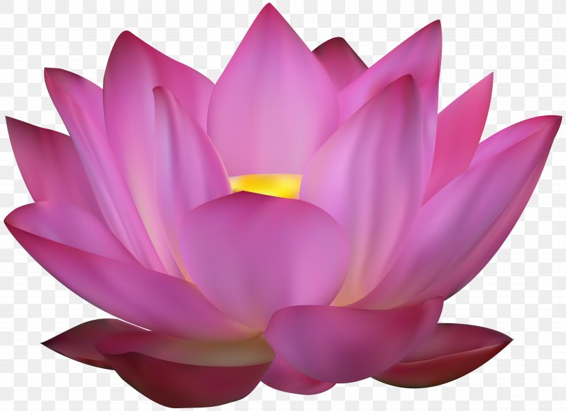 Sacred Lotus Clip Art, PNG, 8000x5813px, Nelumbo Nucifera, Aquatic Plant, Art, Drawing, Flower Download Free