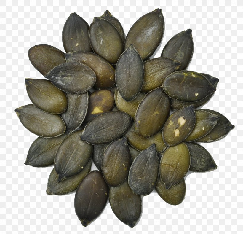 Vegetarian Cuisine Mussel Clam Seed Food, PNG, 1381x1330px, Vegetarian Cuisine, Animal Source Foods, Clam, Clams Oysters Mussels And Scallops, Commodity Download Free