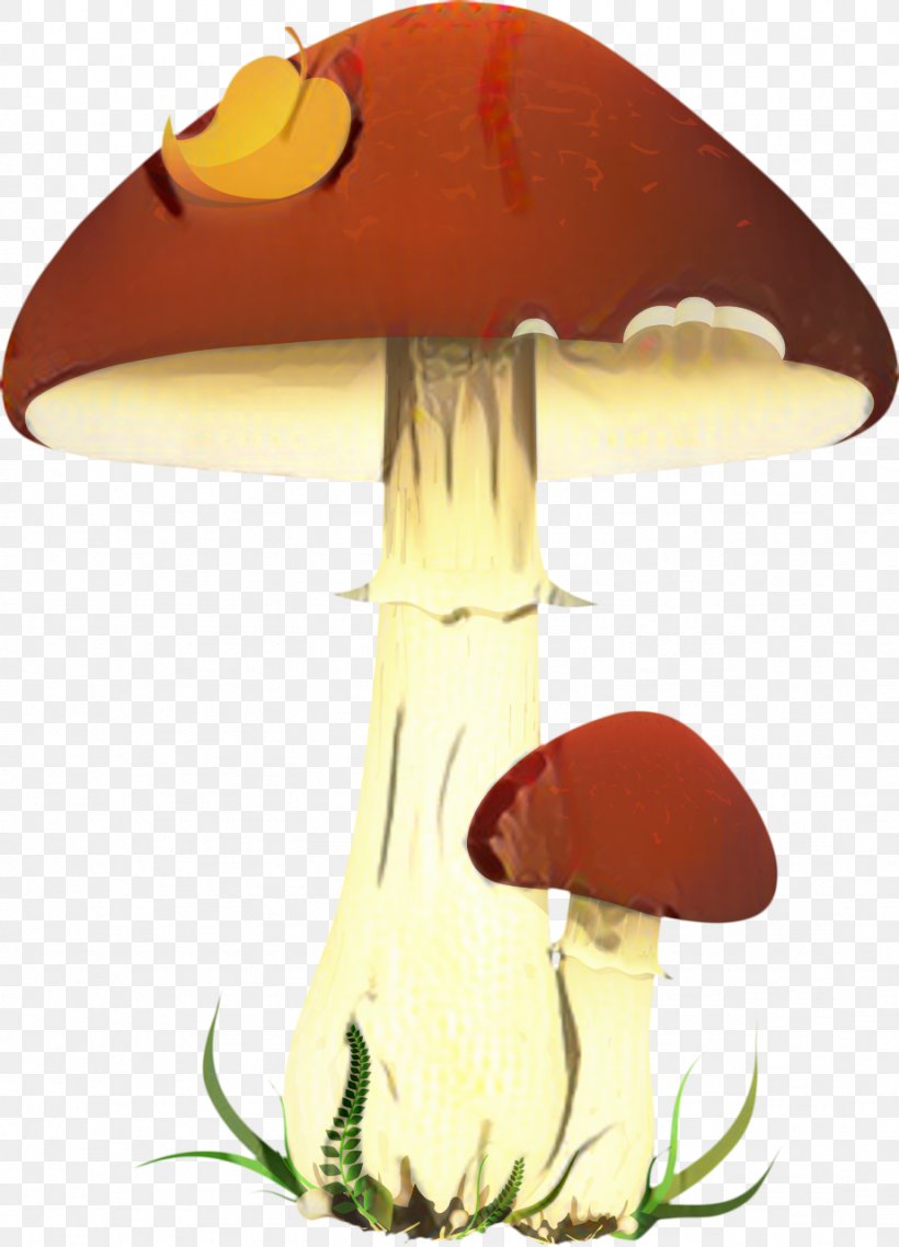 Mushroom Cartoon, PNG, 922x1280px, Mushroom, Agaric, Agaricaceae, Agaricomycetes, Agaricus Download Free