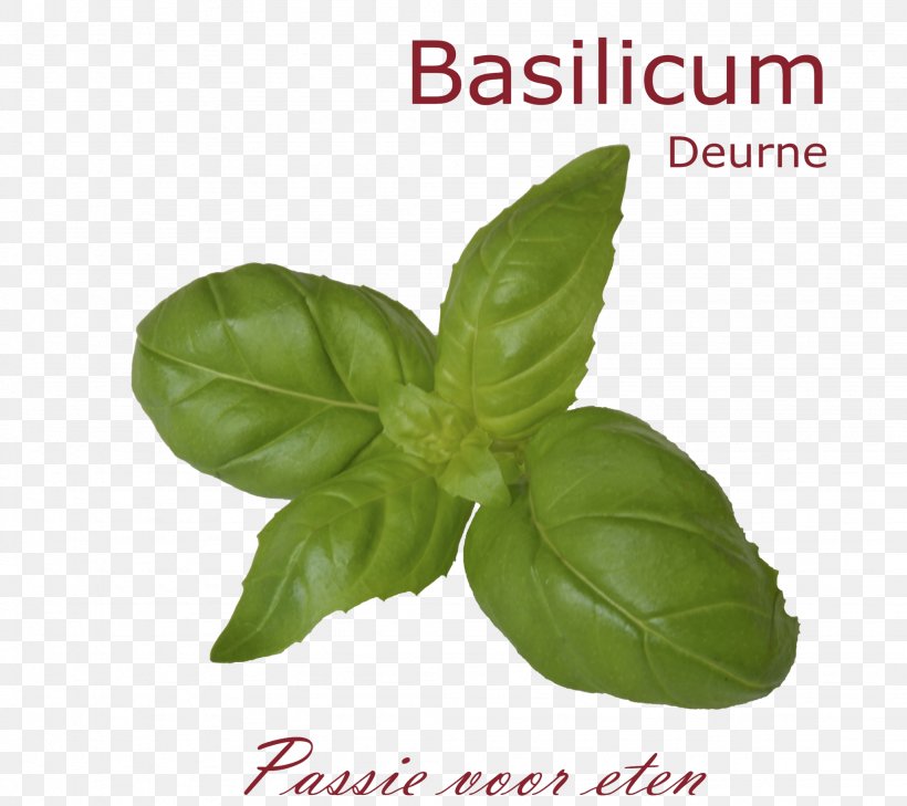 Basilicum Deurne Catering Good Friday Italy, PNG, 2048x1823px, Basil, Catering, Delicatessen, Deurne Netherlands, Easter Download Free