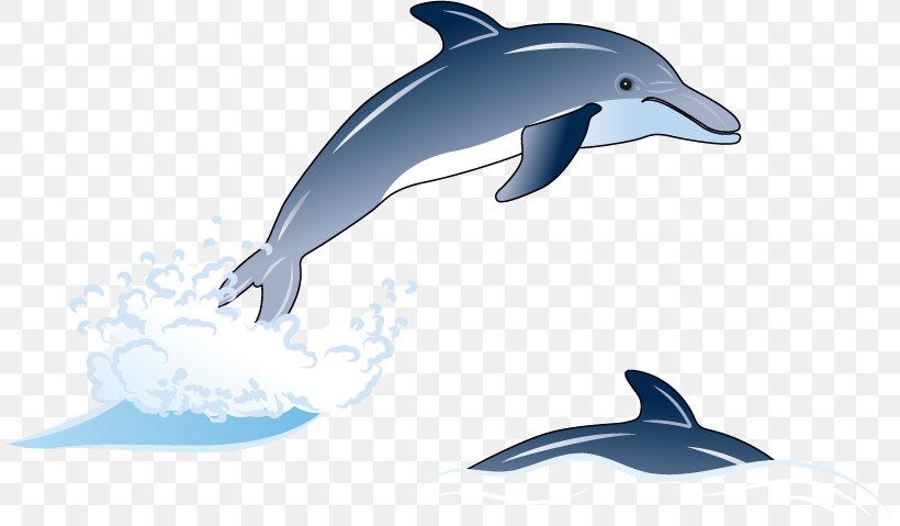 Common Bottlenose Dolphin Short-beaked Common Dolphin Tucuxi Rough-toothed Dolphin Wholphin, PNG, 807x479px, Common Bottlenose Dolphin, Cartoon, Dolphin, Drawing, Fauna Download Free