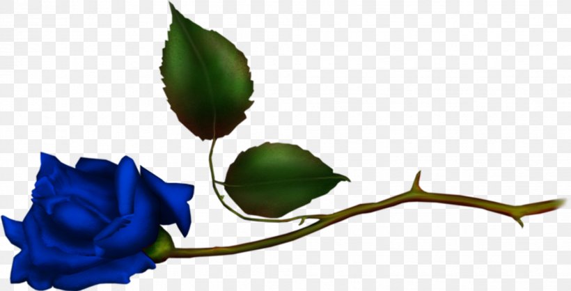Garden Roses Blue Rose Flower Bokmärke, PNG, 1938x990px, Garden Roses, Blue, Blue Rose, Branch, Bud Download Free
