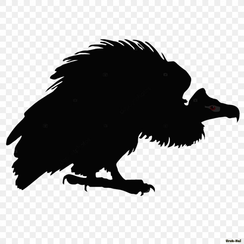 Turkey Vulture Drawing Line Art Png 1024x1024px Turkey Vulture American Crow Beak Bird Bird Of Prey,Types Of Ducks
