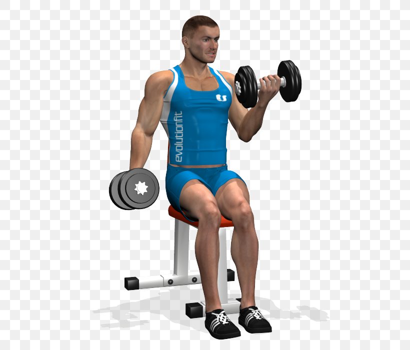 Weight Training Bodybuilding Biceps Curl Dumbbell, PNG, 700x700px, Watercolor, Cartoon, Flower, Frame, Heart Download Free