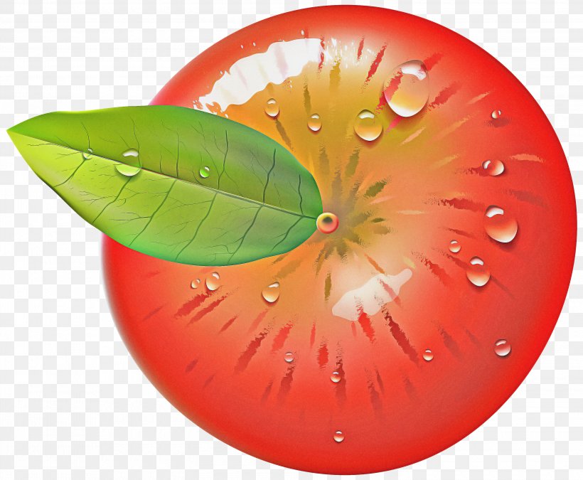 Fruit Cartoon, PNG, 3000x2472px, Fruit, Anthurium, Citrus, Food, Grapefruit Download Free