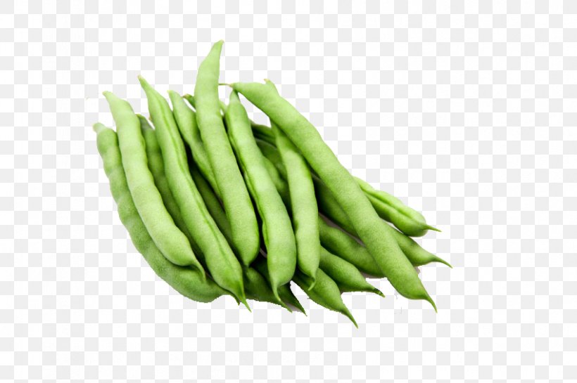 Green Bean Vegetable Organic Food Guar, PNG, 849x565px, Green Bean, Bean, Bean Sprout, Broad Bean, Coffee Bean Download Free