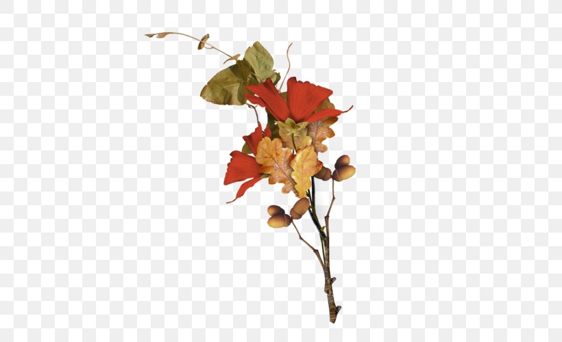Autumn Clip Art, PNG, 500x500px, Autumn, Art, Branch, Decoupage, Flora Download Free