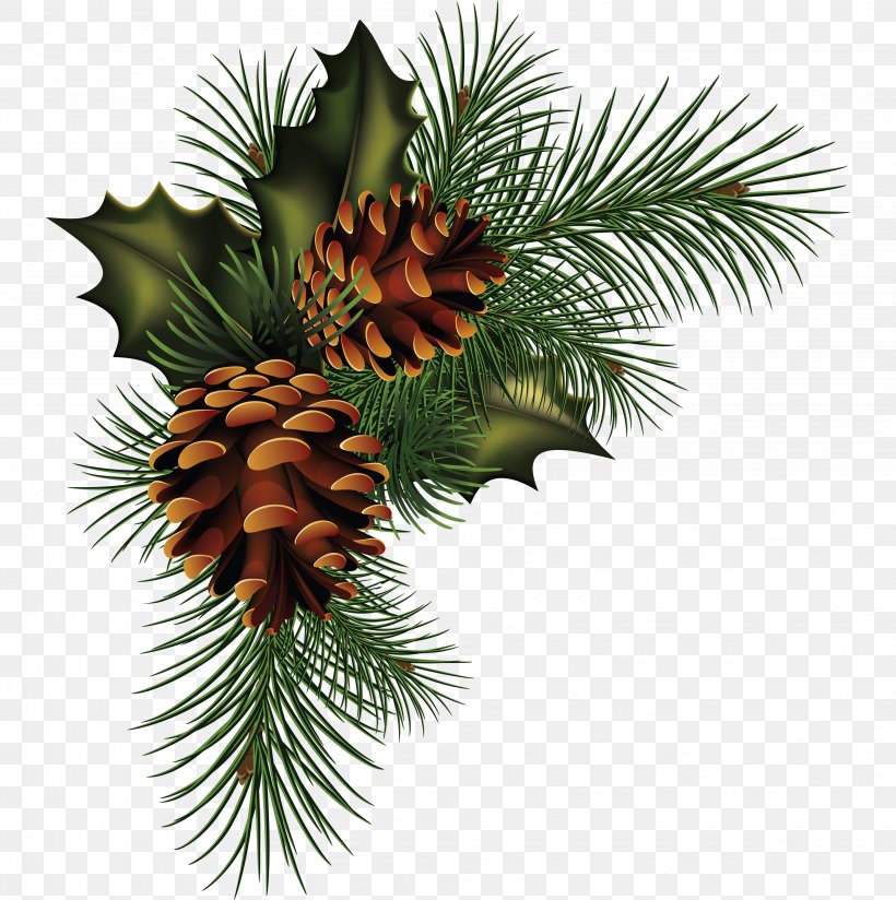 Conifer Cone Pine Fir Spruce, PNG, 3878x3900px, Conifer Cone, Christmas Decoration, Christmas Ornament, Cone, Conifer Download Free