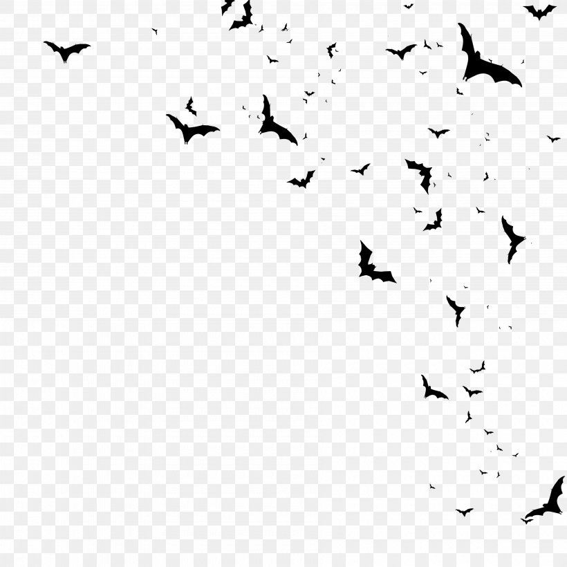 Icon, PNG, 3600x3600px, Bird, Area, Black, Black And White, Computer Software Download Free