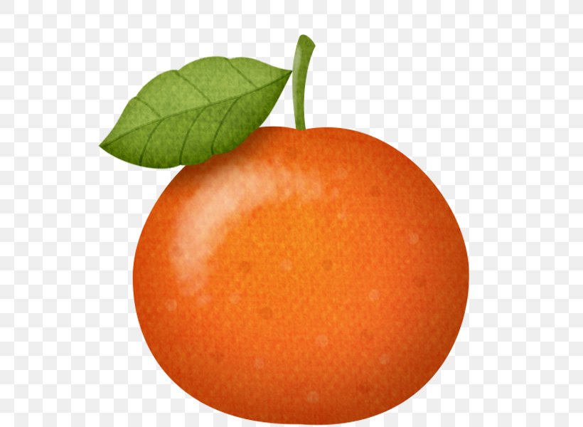 Mandarin Orange Chinese New Year Tangerine Tangelo, PNG, 600x600px, Mandarin Orange, Apple, Apricot, Bitter Orange, Blog Download Free