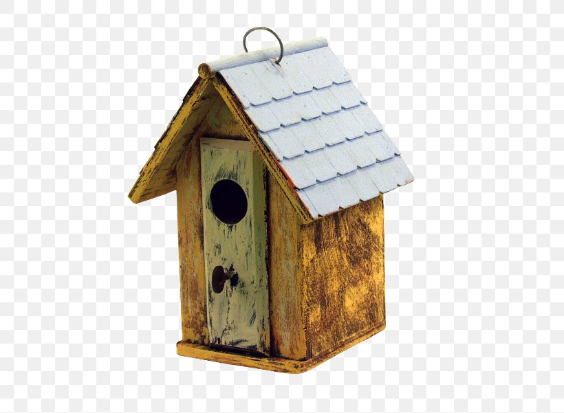 Western Bluebird Nest Box Bird Nest House, PNG, 503x601px, Bird, Backyard, Barn, Barnstorm, Bird Nest Download Free