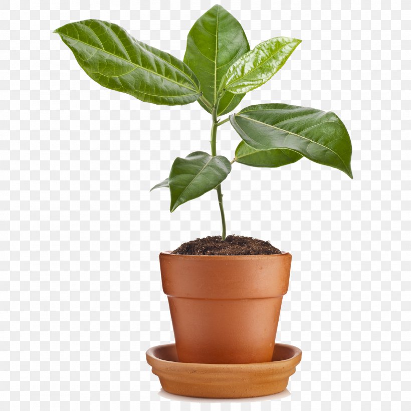 Flowerpot Stock Photography, PNG, 1574x1574px, Flowerpot, Clay, Depositphotos, Herb, Herbalism Download Free