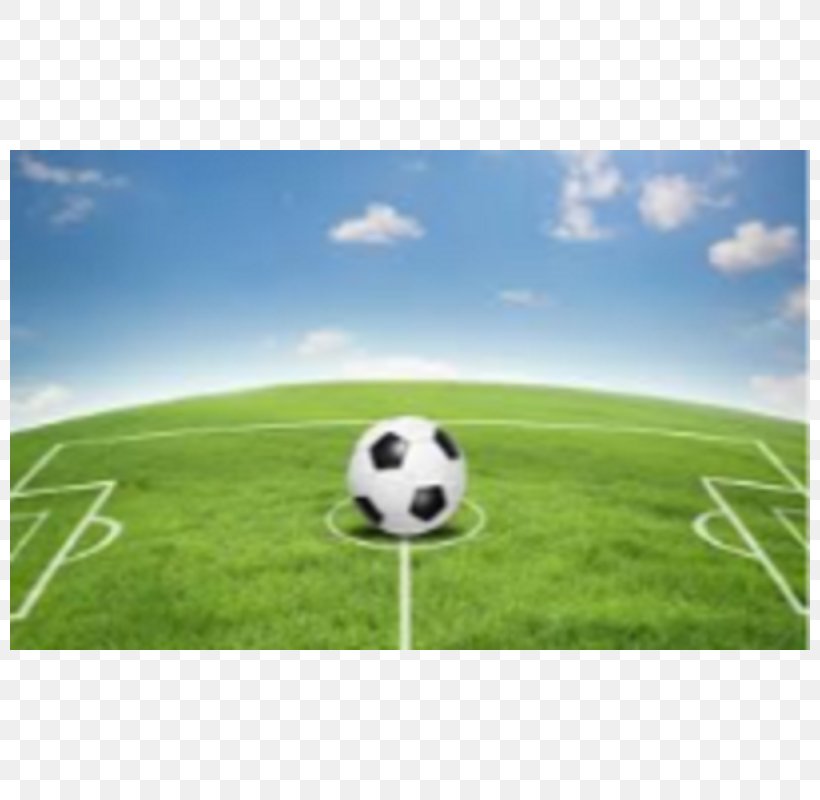 Football Pitch Soccer-specific Stadium Football Team, PNG, 800x800px, Football Pitch, American Football, Athletics Field, Ball, Computer Download Free