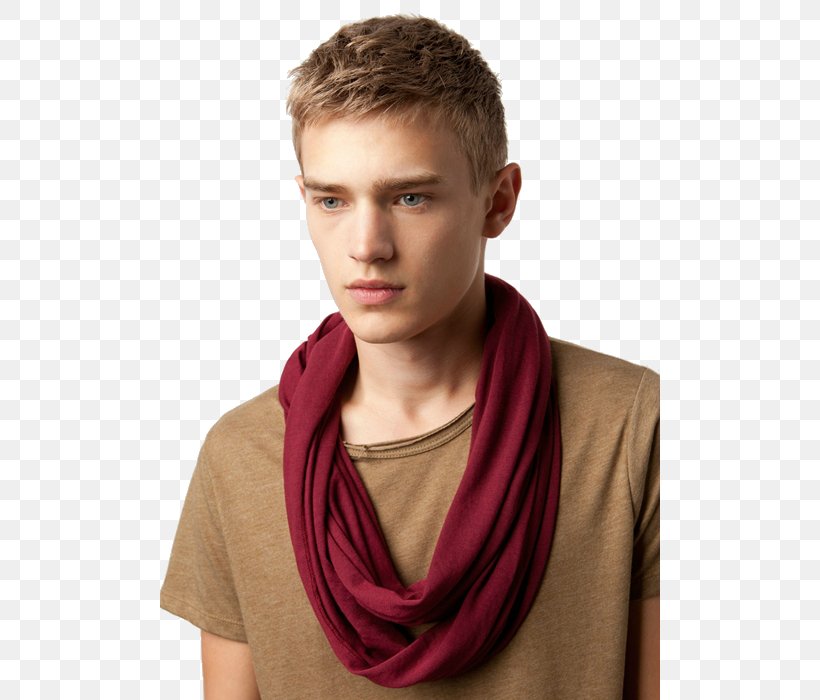 Francisco Lachowski Model Sweden Blond Male, PNG, 500x700px, Francisco Lachowski, Blond, Hair, Male, Maroon Download Free