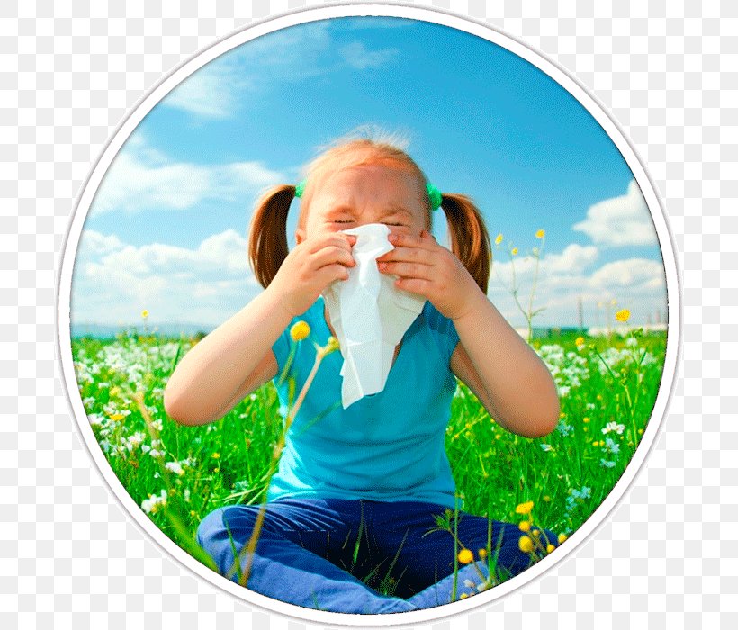 Hay Fever Allergy Rhinorrhea Symptom Asthma, PNG, 700x700px, Hay Fever, Allergic Asthma, Allergy, Asthma, Child Download Free