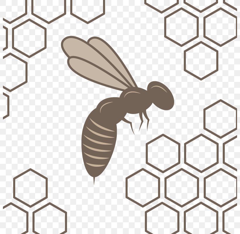 Honey Bee Honeycomb Beehive Pattern, PNG, 800x800px, Honey Bee, Bee, Beehive, Flooring, Hexagon Download Free